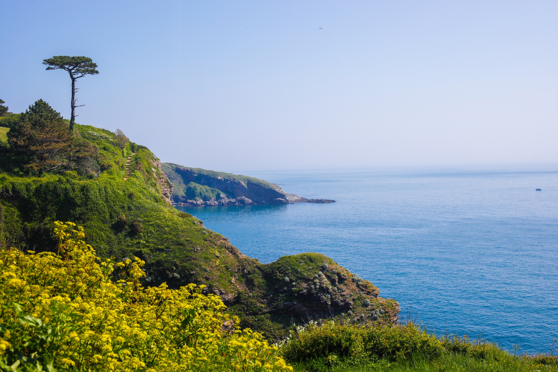South Devon coastline